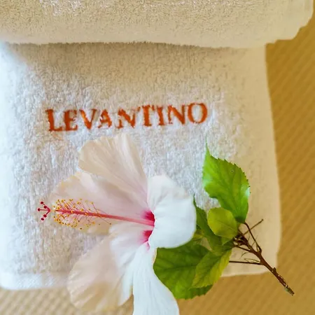 Levantino & Vasilikí