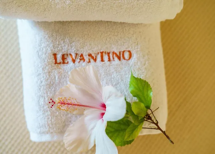 Levantino & Vasilikí