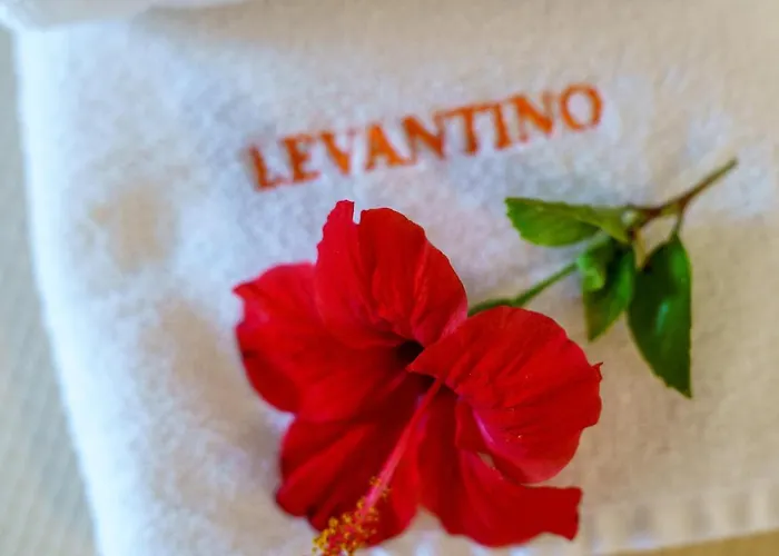 Levantino & 아파트호텔 Vasilikí